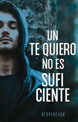 Un te quiero no es suficiente