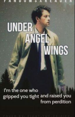 Under Angel Wings (Castiel x Reader)