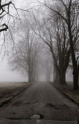 Under Tree