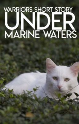 under ▸ warrior cats short story