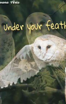 Under your feathers 