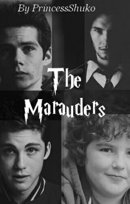 Une année // [HP] Marauders Fanfiction 