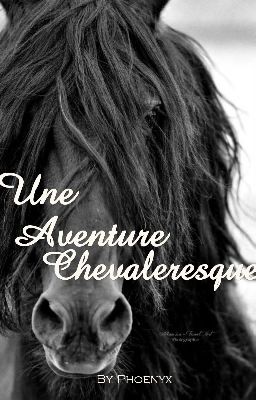 Une aventure chevaleresque