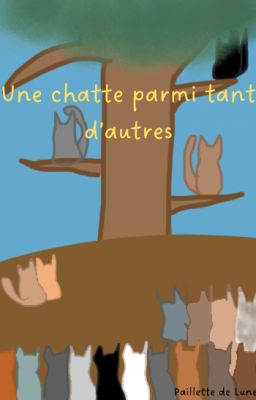 Une chatte parmi tant d'autres