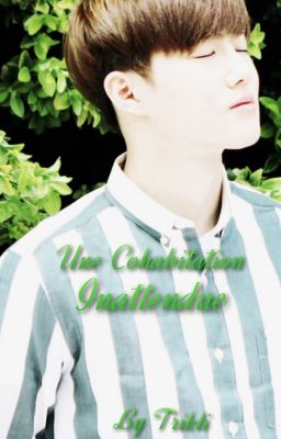 Une Cohabitation Inattendue | SuHo-EXO