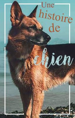 Une histoire de chien