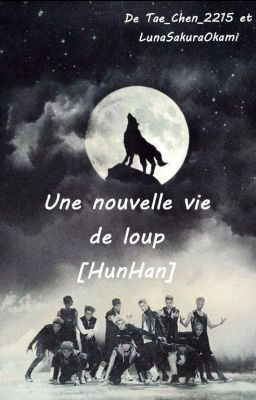 Une nouvelle vie de loup {HunHan}