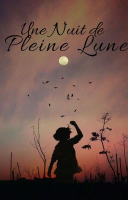 Une Nuit de Pleine Lune