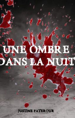 Une ombre dans la nuit #wattys2019