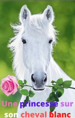 Une princesse sur son cheval blanc