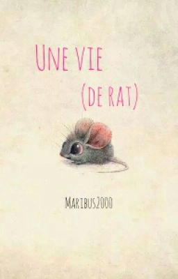 Une vie (de rat)