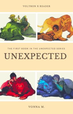 Unexpected: A Voltron x Reader