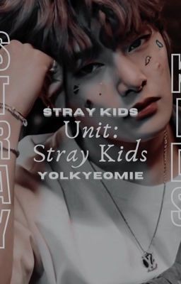 unit: stray kids | stray kids 