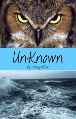 UnKnown [Book 1]