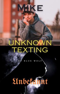 Unknown Texting (bxb)