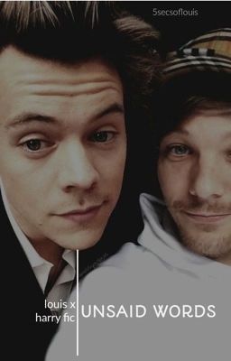 Unsaid Words (A Larry Stylinson Fanfiction)