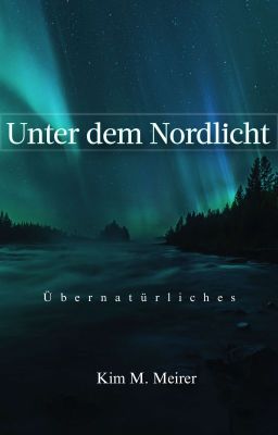 Unter dem Nordlicht