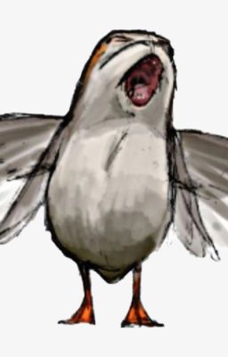 Up a creek with only a Porg (oneshot)