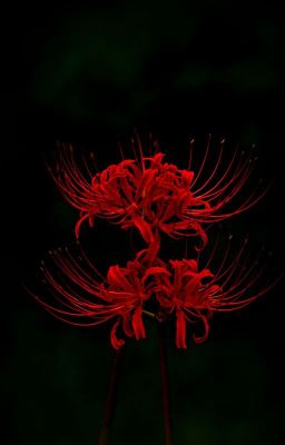 Uri.. Chúng ta  (SamHoon/ MuelHoon ; p101)