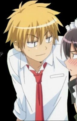 Usui x Misaki (Kaichou Wa Maid-Sama)