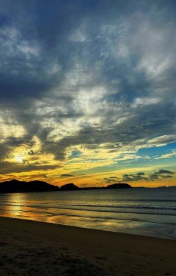 Vài Trích Đoạn Từ Những Truyện Đã Đọc (2)