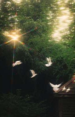 Văn Chu • Em Đợi Anh Đến Năm 35 Tuổi 