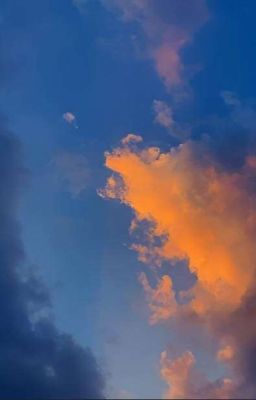 Van nài anh yêu em // LanFinn //.