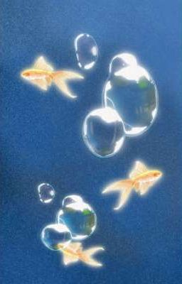 Văn Phòng Vui Nhộn