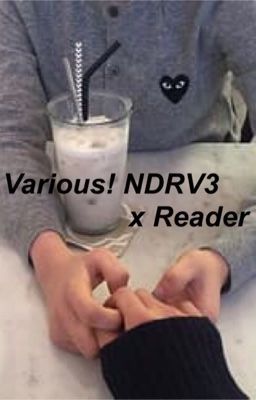 Various! NDRV3 x Reader