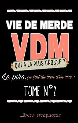 VDM 2