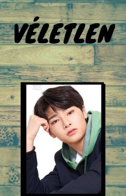 VÉLETLEN (I.N ff) Stray Kids fanfiction sorozat