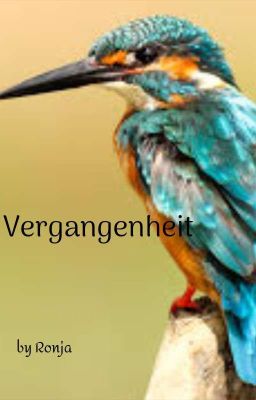 Vergangenheit