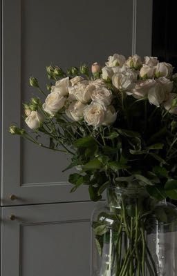 [Vĩ Cường] Đôi lời