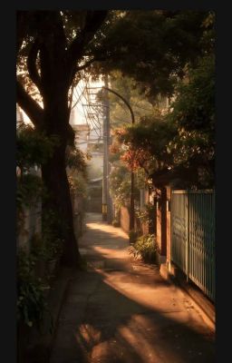Vì Yêu