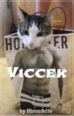 Viccek