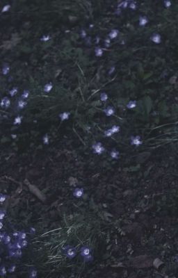 vicho - điều ước