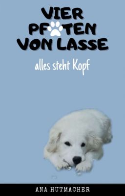 vier Pfoten von Lasse - alles steht Kopf