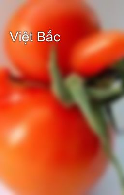 Việt Bắc