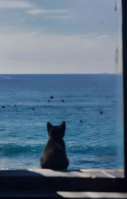 Viết cho những ngày tháng