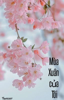 [Vietnamharem] Mùa Xuân của tôi