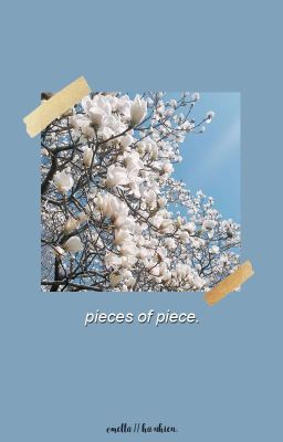 ▹▹ vignette ✎ pieces of piece.