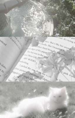 vihends | trọng lực