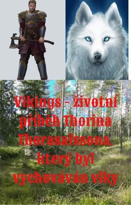 Vikings - životní příběh Thorina Thorasafssona, který byl vychováván vlky