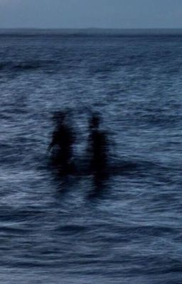 vinny x jay ; đắm vào mắt người, quên đường bơi