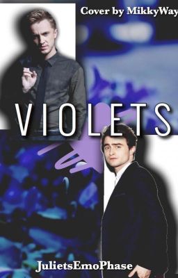 Violets (A Drarry FanFiction - Roses are Red, Violets are Blue Part 2)