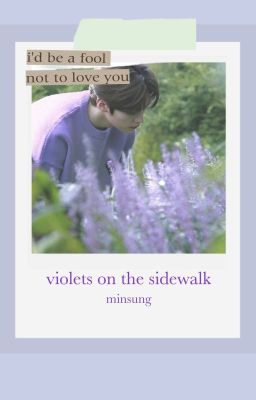 Violets on the Sidewalk || Minsung