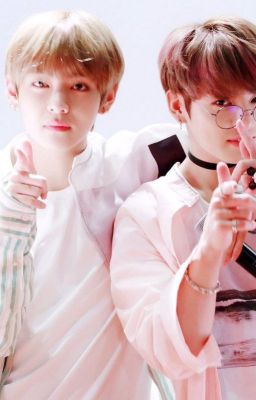 ¦ Vkook ¦ « Chim ».