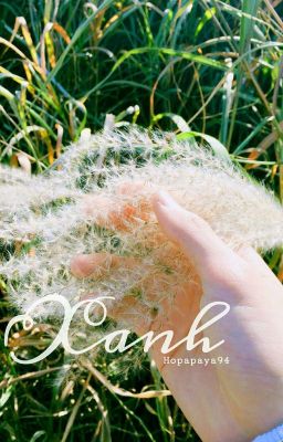 Vkook |🌾Xanh 🌾|