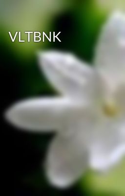 VLTBNK