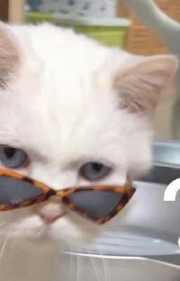 #vô hạn lưu, xuyên nhanh 